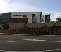 Westreef #2 Mar 4 2016