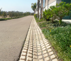 0104121216P1070693_sized