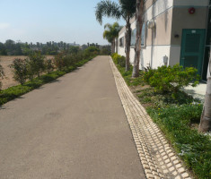 0104121218P1070695_sized