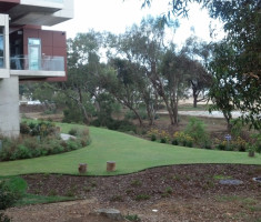 01141303562012-11-18_08-21-11_876_Sanford-Consortium-for-Regenerative-Medicine_opt