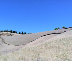 0228120519oakmont_memorial