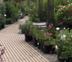 Artificial Turf Walkway / Driveway