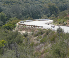 0328120329P1070817_opt