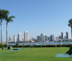 03301112198-20-08-001_OPT