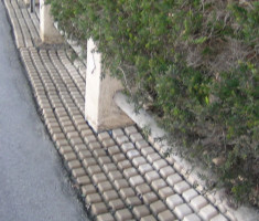 033011122011-13-06-003_opt