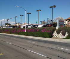 0402130240IMG_20130327_155924_068_verdura_wall_opt