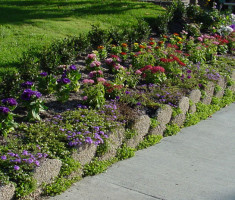 0406110112Edging1