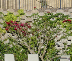 0406110208Wall2