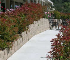 0406110258Garden5
