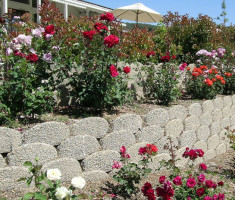 0406110258Garden6