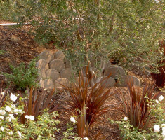 0406110258Garden7