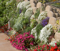 0406110523Garden8