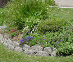 0406110606Planter4