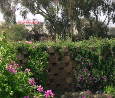 Sound wall - Carlsbad, CA