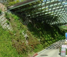 Verdura Retaining Wall Del Mar Plaza