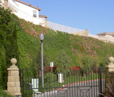 0427110350Residential8