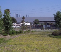 Tan Drivable Grass® with Decomposed Granite infill