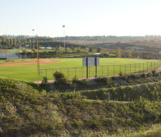 0429111043Education1