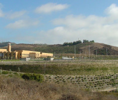 0429111043Education2