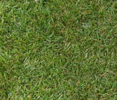 0505110605Sod_Infill_Big