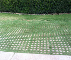 Golf Cart Parking at River Oaks Golf Club in Edmond, OK