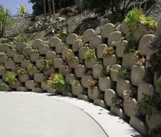 0526150626Suceluents_Wall_5
