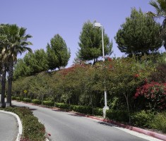 0527150137Target_Mission_Viejo_59