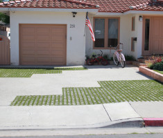 Driveway: Pre-cut Turf