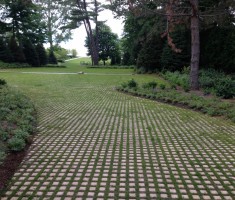 0708141126image_pro_path