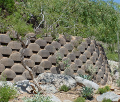 0724120529Arizona-Close-up_verdura_garden_wall_opt