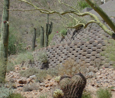 0724120537ArizonawithCactus_verdura_wall_opt