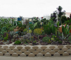 0724120542Del-Mar-Fair-Marine-verdura-opt