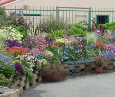 0724120543Del-Mar-Fair-Seating-Area_verdura_opt