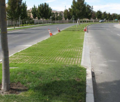 0731120540NorCal-DG-Installations-1_drivable_grass_opt