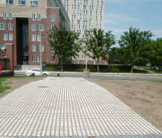 0807121042BUSH0228_drivable_grass_opt