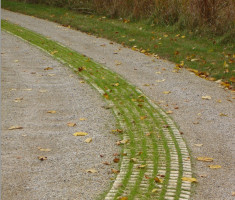 0807121045DSC08847_drivable_grass_opt