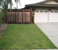 080712104900000025_drivable_grass_opt