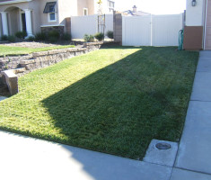 0807121050DSCF2671_drivable_grass_opt