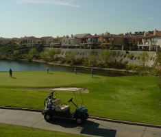 0807121105coto_verdura_opt