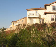 08071211206-16-07-003_opt