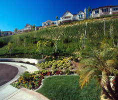 0807121123newport-2-lg_verdura_wall_opt