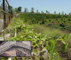 0821120513ladera_verdura_retaining_wall_opt