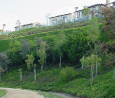 0821120513newportcoastschool0802-4_verdura_opt