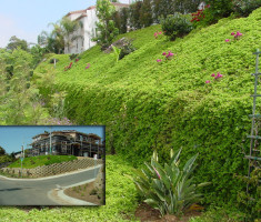 0821120522Hygeia_verdura_retaining_wall_opt