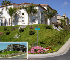 0821120522Hygeiawithinset_verdura_retaining_wall_opt