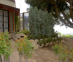 0821120545PICT0498_verdura_garden_bed_opt