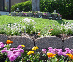 0821120545fishV10close2_verdura_garden_beds_opt