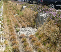 0822110224P1070530_adj_for_web