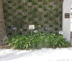 0828120452CSP-Verdura2_verdura_garden_wall_opt