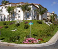 0828120452PICT0637_verdura_garden_wall_opt